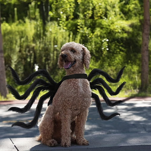 Luvikno | Morsom Pels Hund Halloween Kostyme | Edderkopp Design