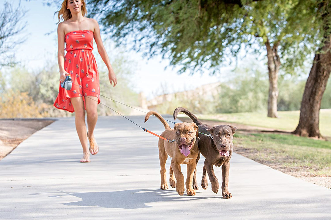 Luvikno | Dual Dog Flex-linje
