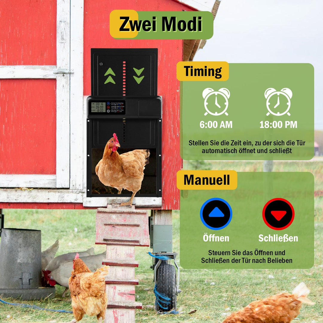 Kylling klaff automatisk timer | Luvikno