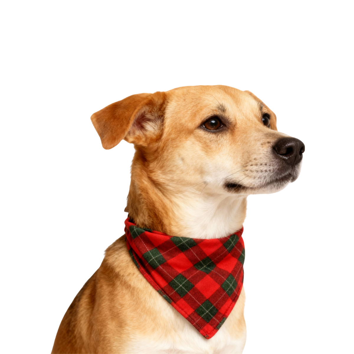 Luvik | jouluperheen yhteensopivat punaiset ja vihreät ruudulliset nappikauluksiset pitkät hihapajamasetit