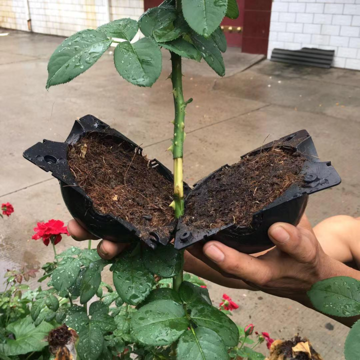 Air Layer Plant Propagation Capsule | Luvikno