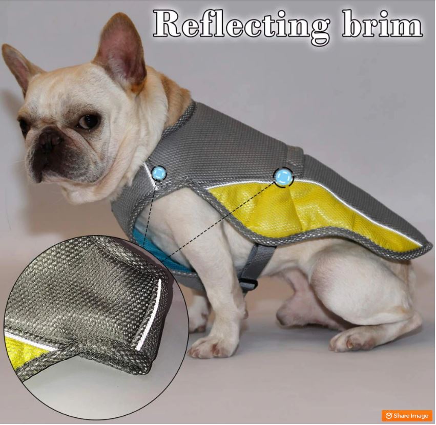 Coolify™ : Kjølevest for Fransk Bulldog (CS13) | Luvikno