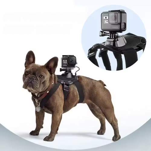 Action-Cam Hundesele med 360° Perspektiv Luvikno