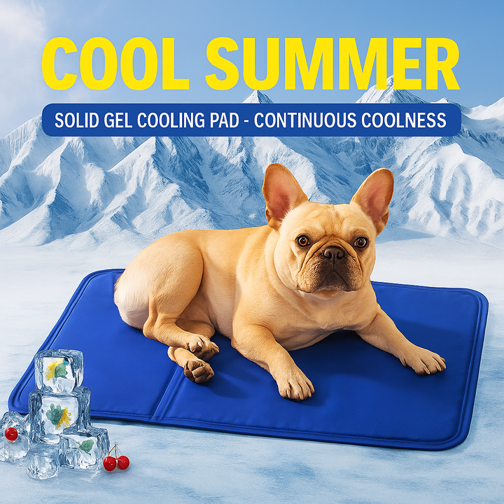 Aircooly Frenchie Kjøle seng – Ikke-isete myk pustende sommer gel kjølematte | Luvikno