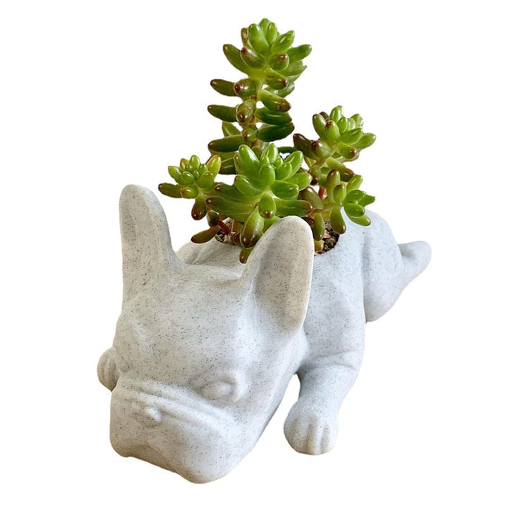 Harz ornament for dyremeditasjon | luvikno