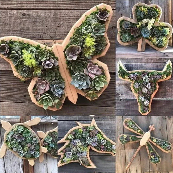 Animal Succulent Hageoppsett | Luvikno