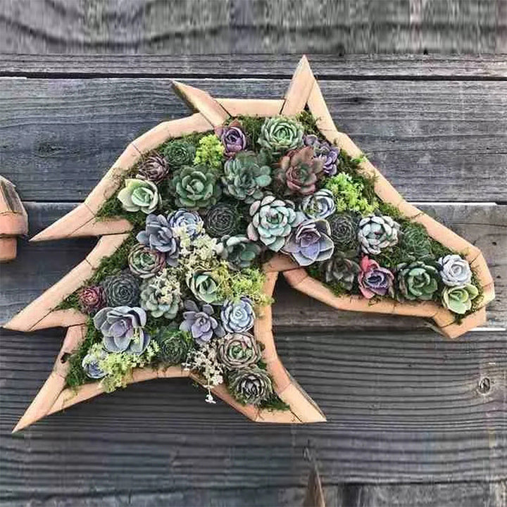 Animal Succulent Hageoppsett | Luvikno