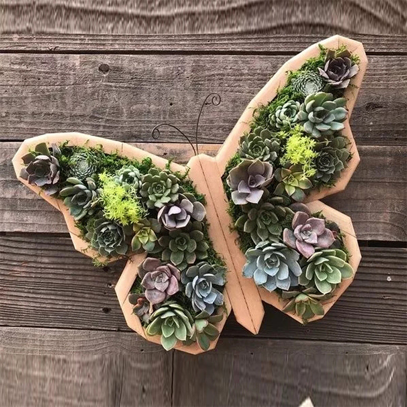Animal Succulent Hageoppsett | Luvikno