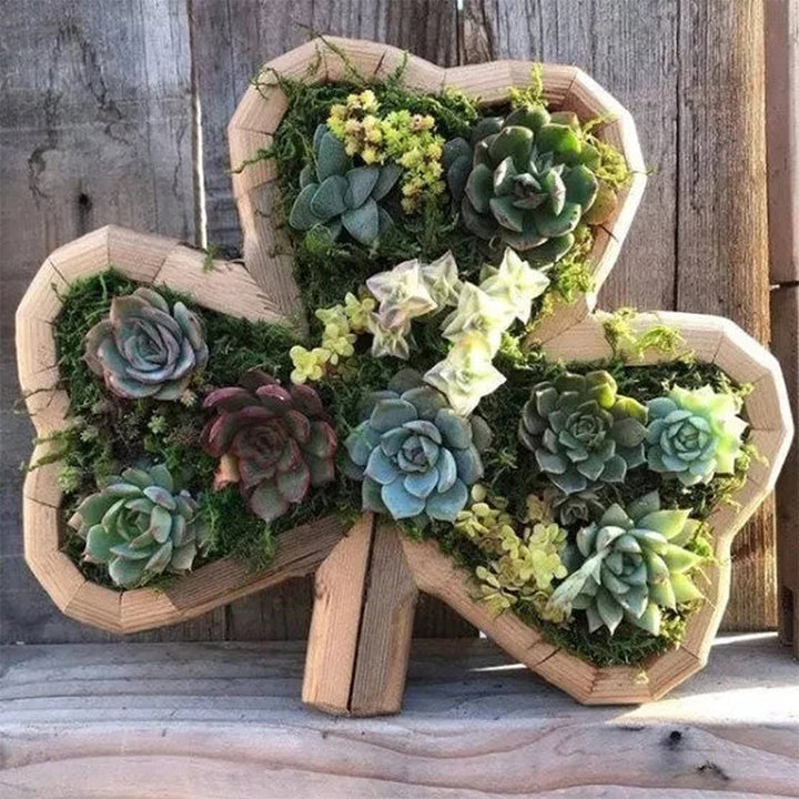 Animal Succulent Hageoppsett | Luvikno