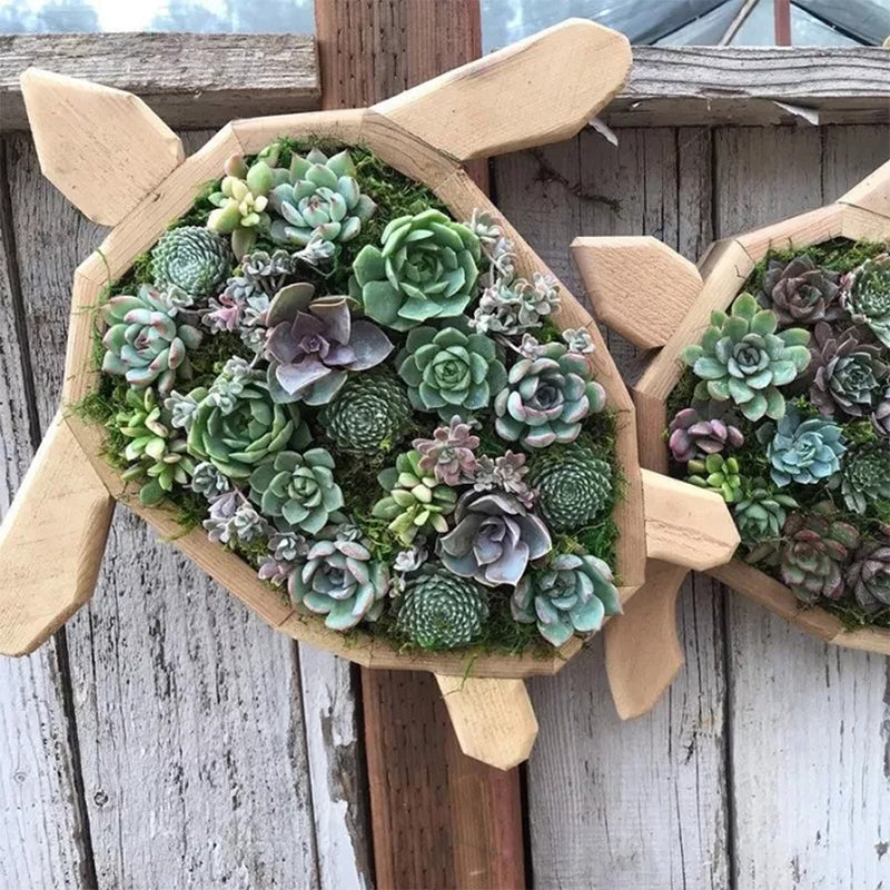 Animal Succulent Hageoppsett | Luvikno
