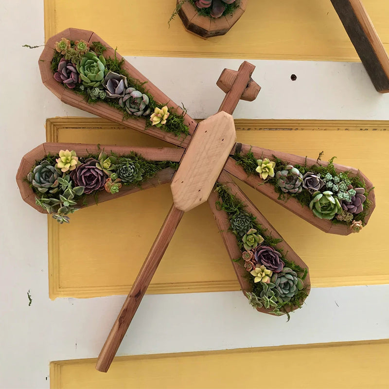 Animal Succulent Hageoppsett | Luvikno