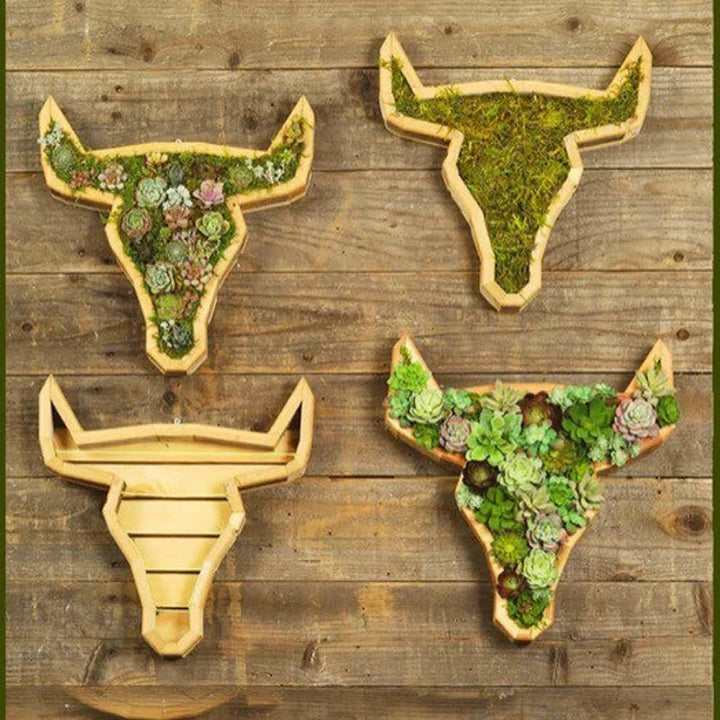 Animal Succulent Hageoppsett | Luvikno