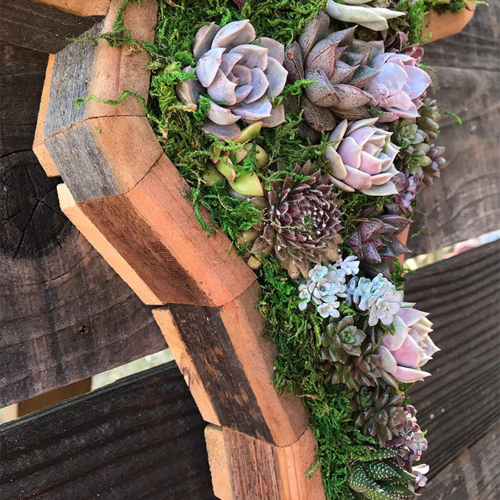 Animal Succulent Hageoppsett | Luvikno