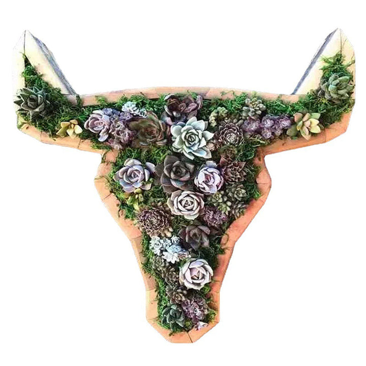 Animal Succulent Hageoppsett | Luvikno