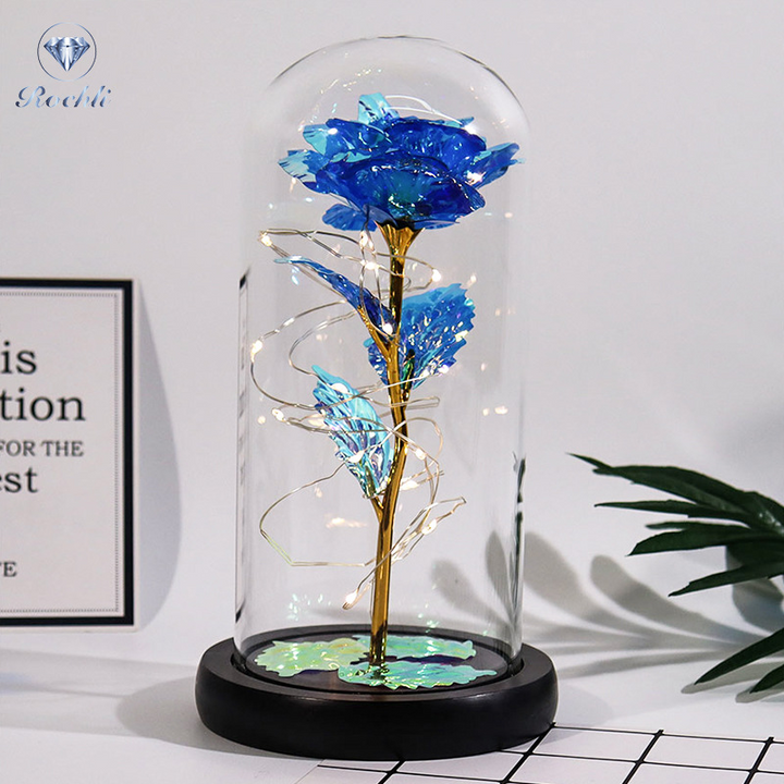 Rose i Glass Dome Display | Luvikno