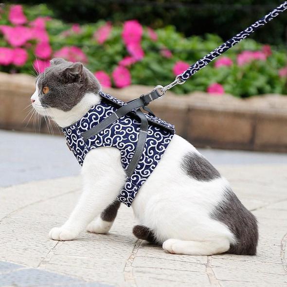 Kragejakke og bånd for katt | Luvikno