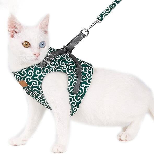 Luvikno | Katt vest sele og båndsett for turer