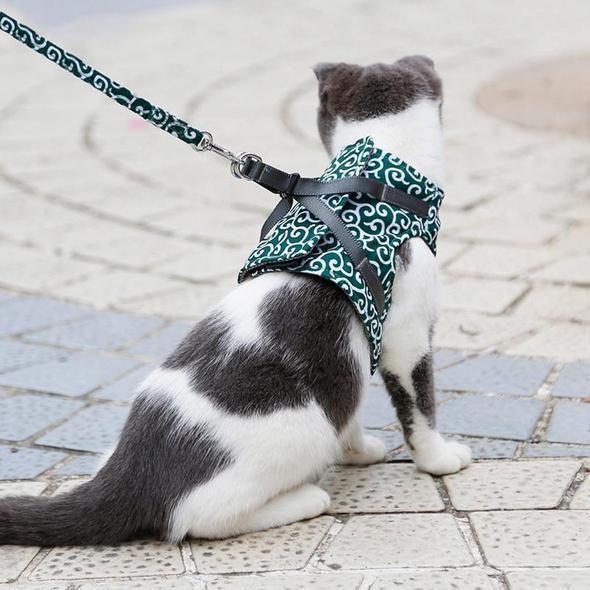 Kragejakke og bånd for katt | Luvikno