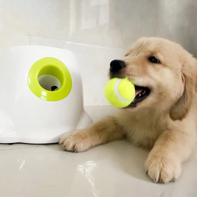 PetLaunch | Luvikno