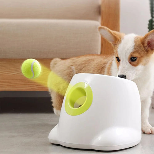PetLaunch | Luvikno