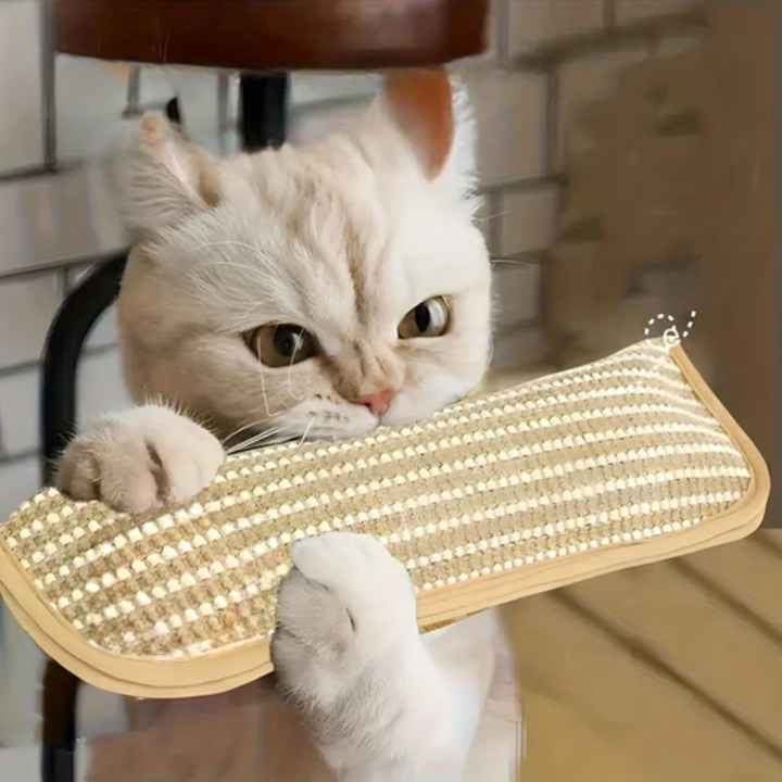 Klorepute for katter med kattmynt holdbar og robust Luvikno