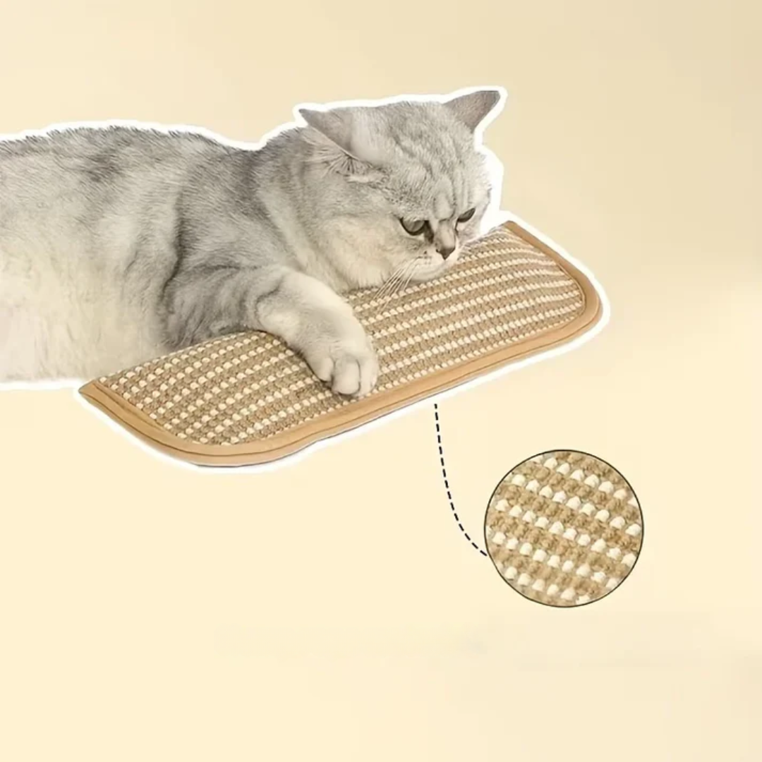 Klorepute for katter med kattmynt holdbar og robust Luvikno