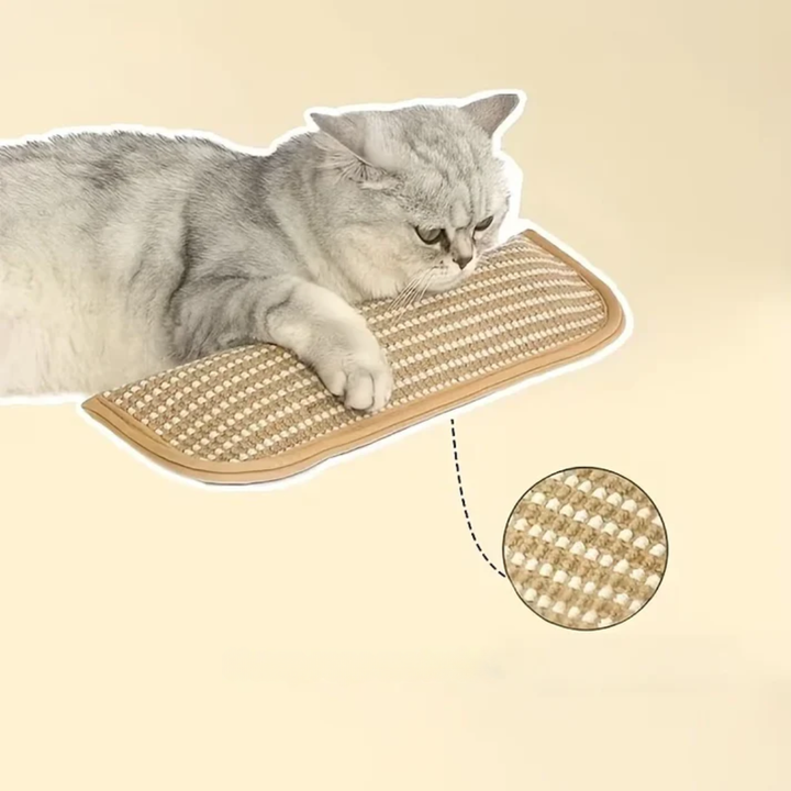 Klorepute for katter med kattmynt holdbar og robust Luvikno