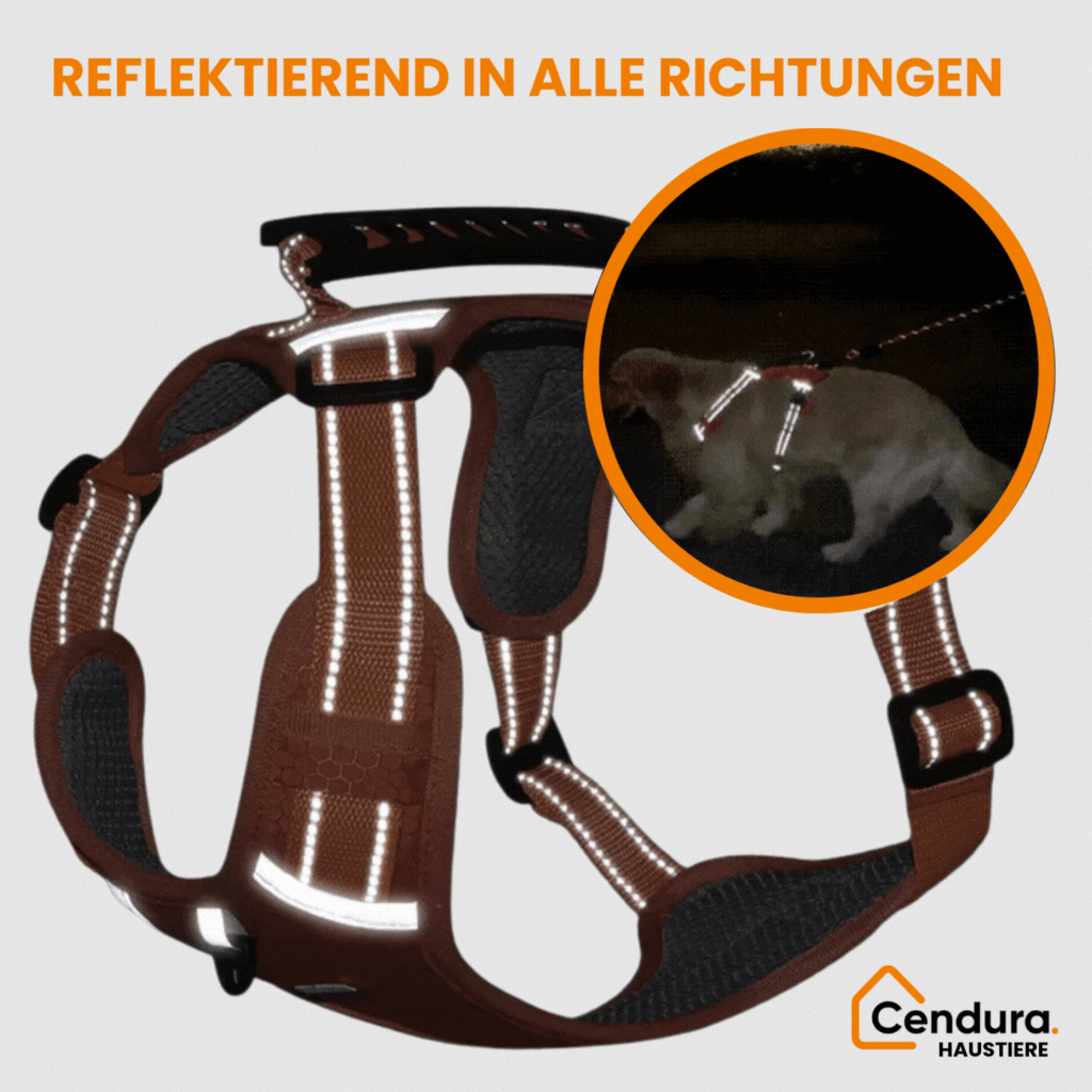 HappyHund sikkerhetssele refleks | Luvikno
