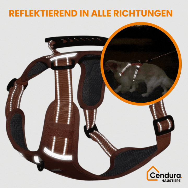 HappyHund sikkerhetssele refleks | Luvikno