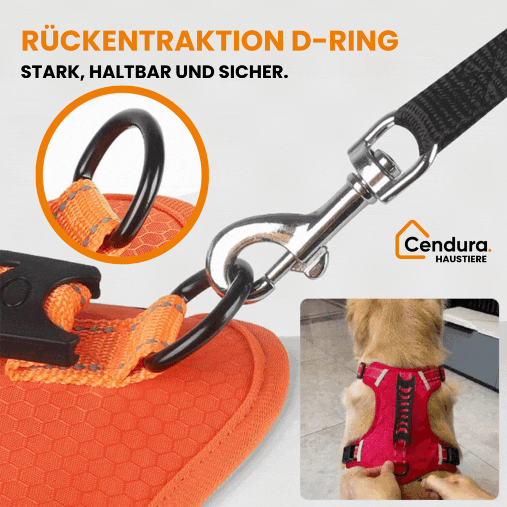 HappyHund sikkerhetssele refleks | Luvikno