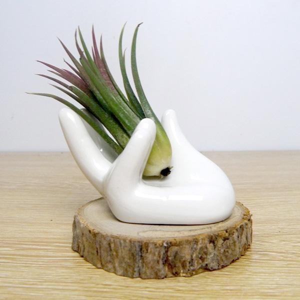 Keramisk Håndformet Luftplante Egg Smykkeholder | Luvikno