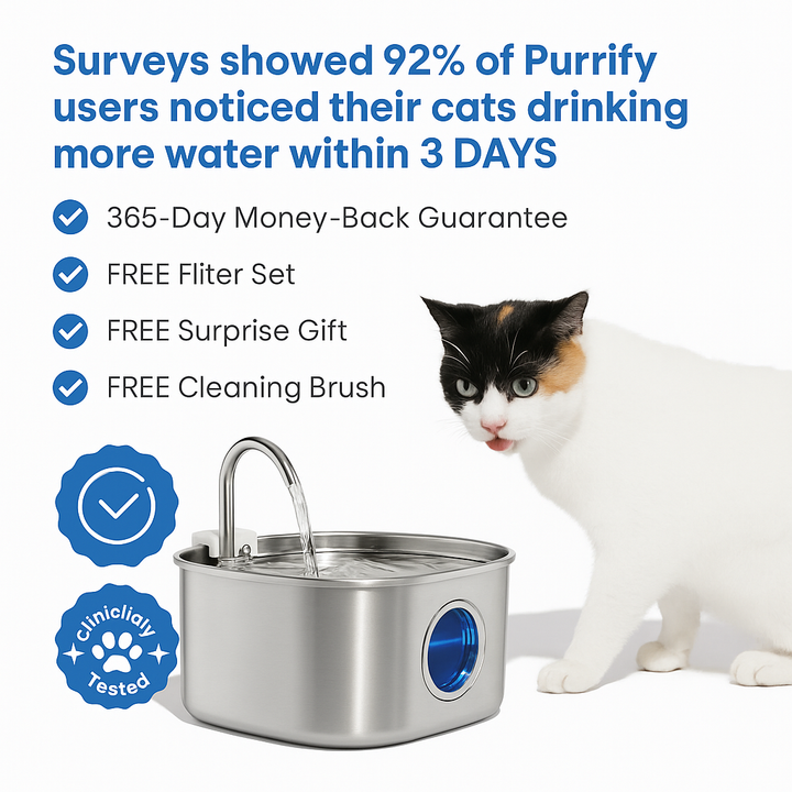 Luvikno | Felindra Katte Drikkefontene Laget av Rustfritt Stål | Strømmende Vann for Bedre Hydrering | Stille & Hygienisk | 2,5 L Kapasitet