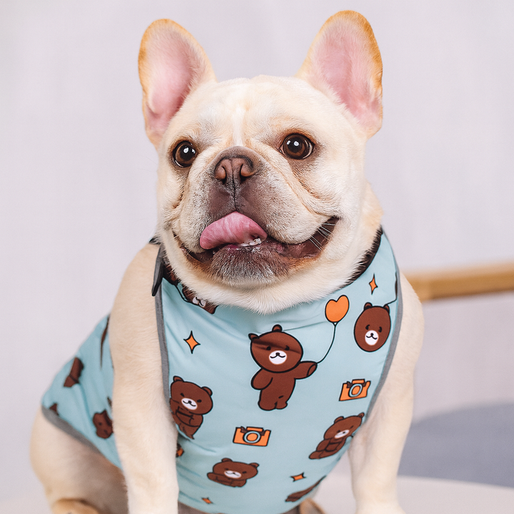 CooLie Frenchie Kjølevest – Sommer Magebeskyttelse Komfort | Luvikno