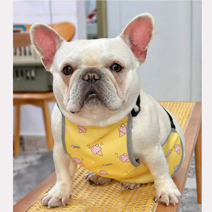 CooLie Frenchie Kjølevest – Sommer Magebeskyttelse Komfort | Luvikno