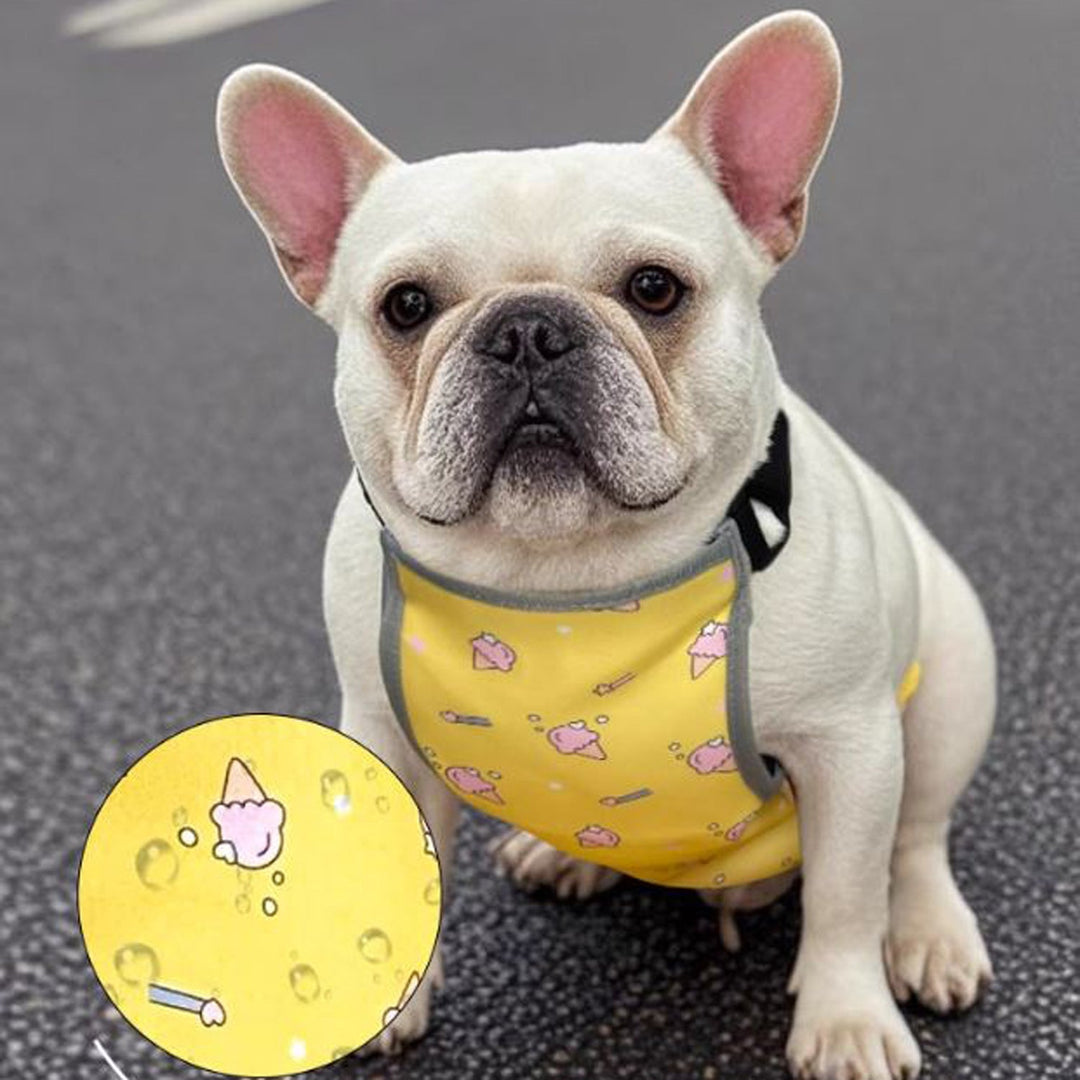 CooLie Frenchie Kjølevest – Sommer Magebeskyttelse Komfort | Luvikno