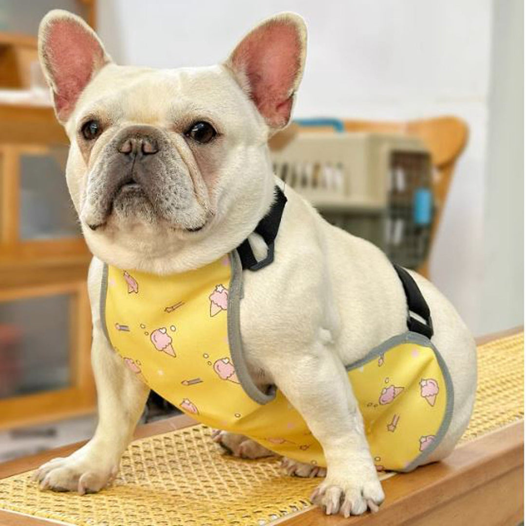 CooLie Frenchie Kjølevest – Sommer Magebeskyttelse Komfort | Luvikno