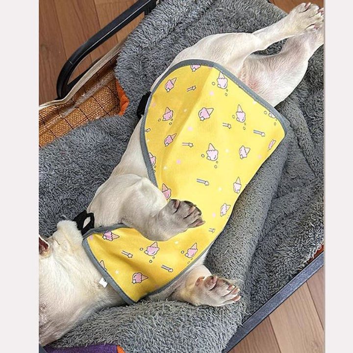 CooLie Frenchie Kjølevest – Sommer Magebeskyttelse Komfort | Luvikno