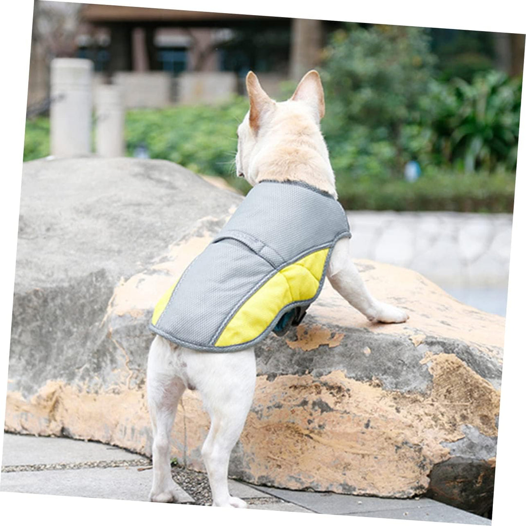 Coolify™ : Kjølevest for Fransk Bulldog (CS13) | Luvikno