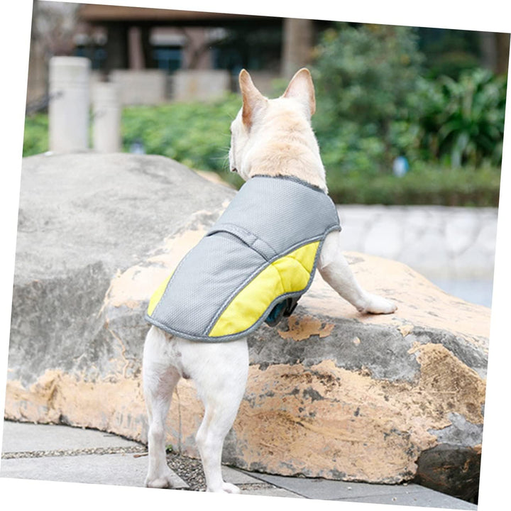Coolify™ : Kjølevest for Fransk Bulldog (CS13) | Luvikno