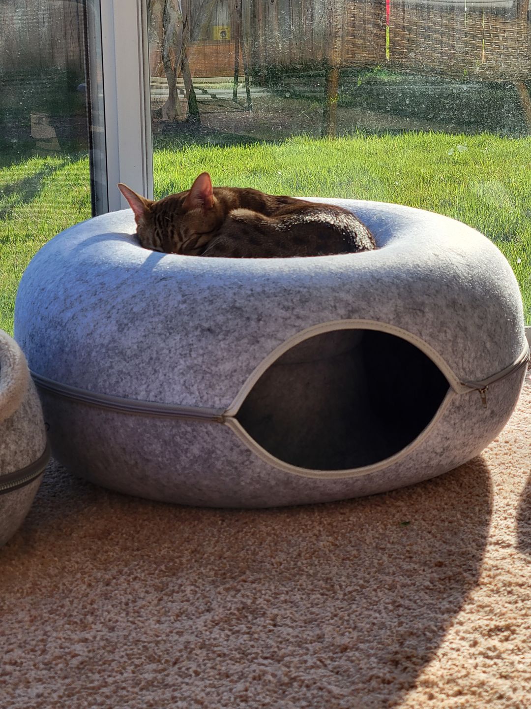 Purrfect Den - Luksus Katte Tunnel med Soveplass Luvikno