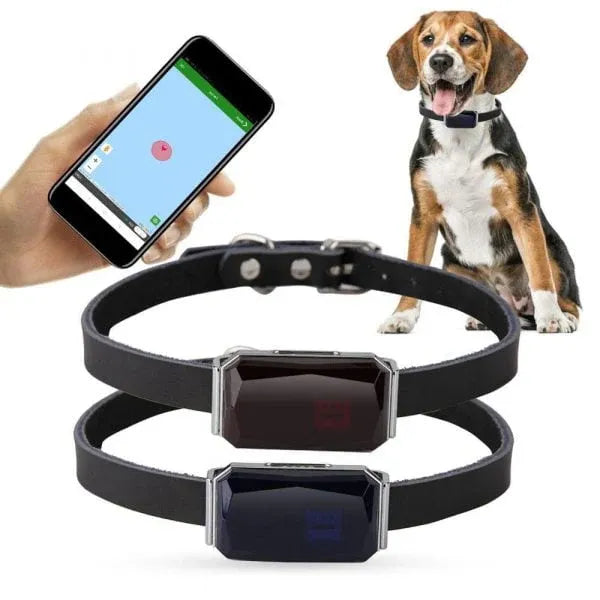 Pet GPS Tracker - Sanntid Plassering Sporingssystem for Kjæledyr | Luvikno