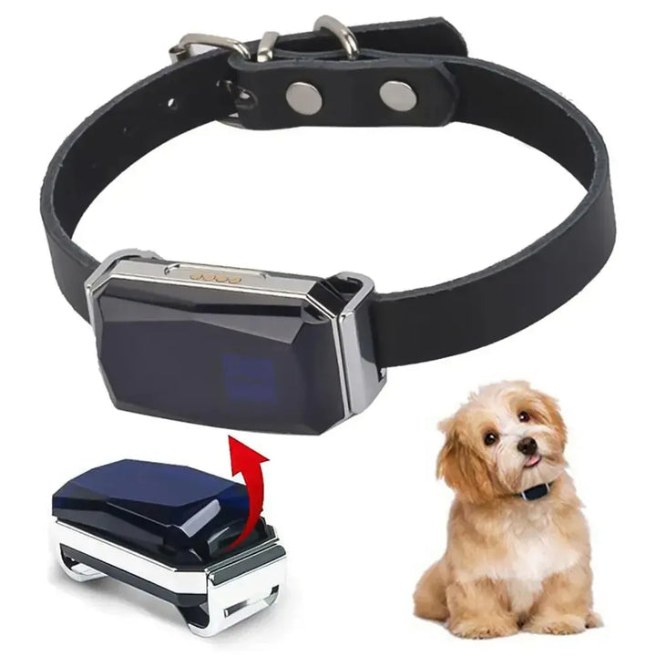 Pet GPS Tracker - Sanntid Plassering Sporingssystem for Kjæledyr | Luvikno