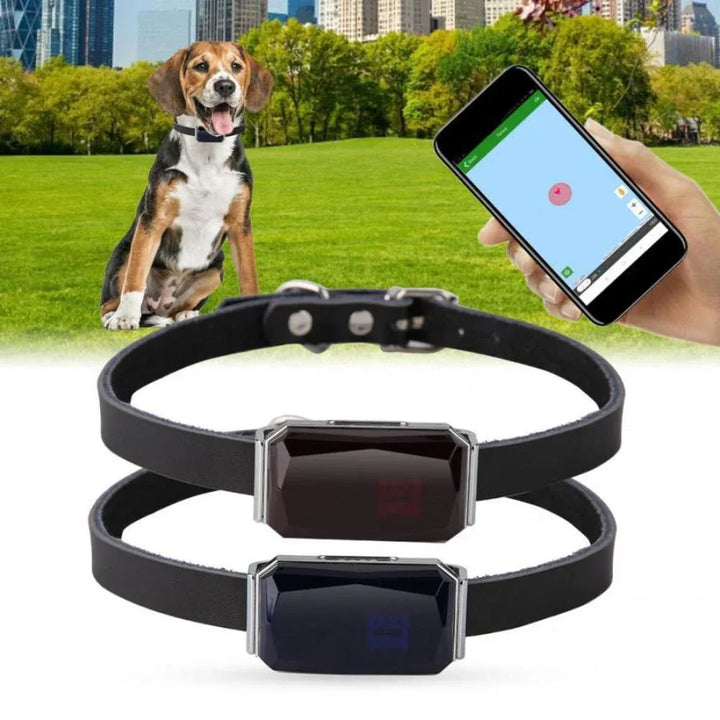 Pet GPS Tracker - Sanntid Plassering Sporingssystem for Kjæledyr | Luvikno