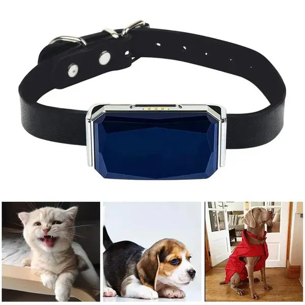 Pet GPS Tracker - Sanntid Plassering Sporingssystem for Kjæledyr | Luvikno