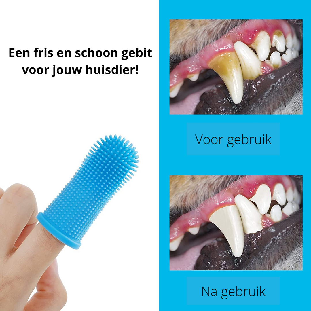 Sikker hunde tannpleie for hjemmet Luvikno