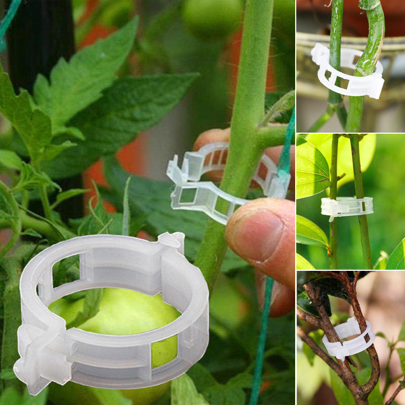 Plante støtteklipp | Luvikno