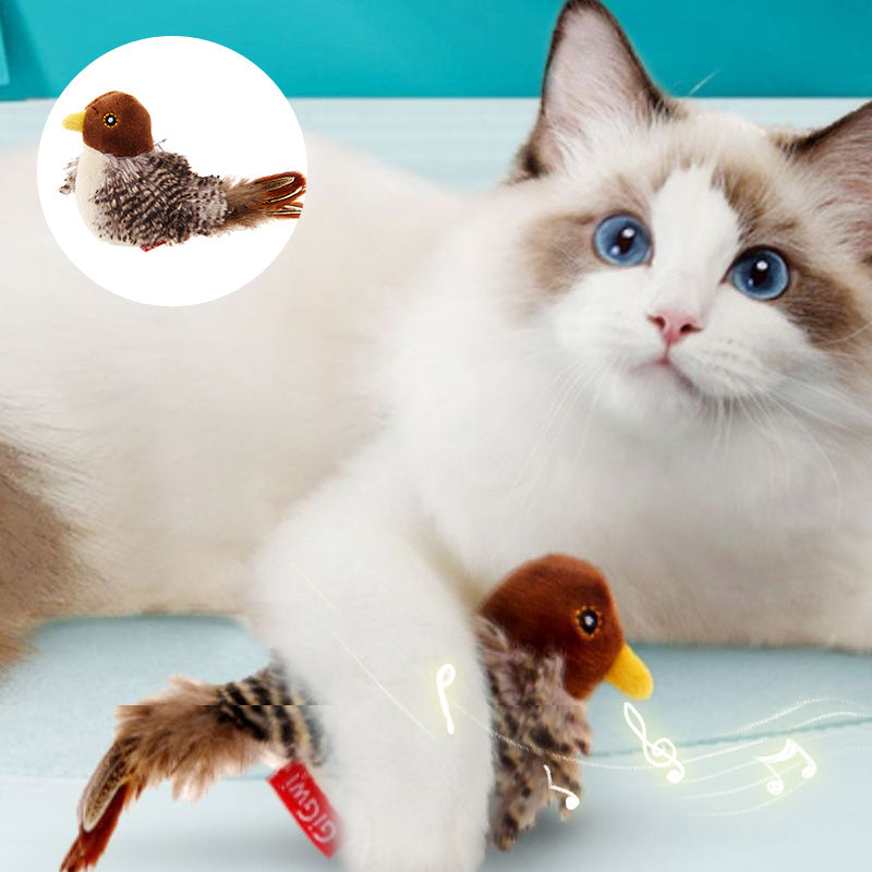 Luvikno | BirdyPurr - Den trygge lekevennen for katten din!