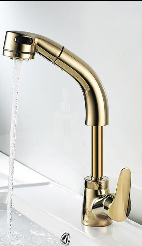Luvikno | FlexiStream Justerbar Badkran Utrekks Elegant Finish