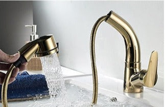Luvikno | FlexiStream Justerbar Badkran Utrekks Elegant Finish