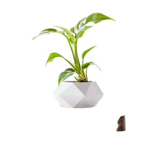 GeoSpin roterende geometriske planteboks Luvikno
